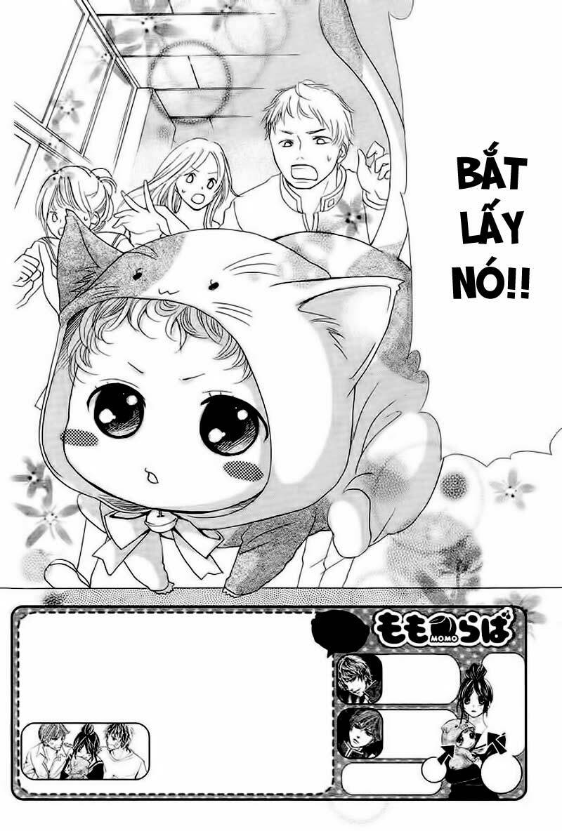 momo lover chapter 2 5