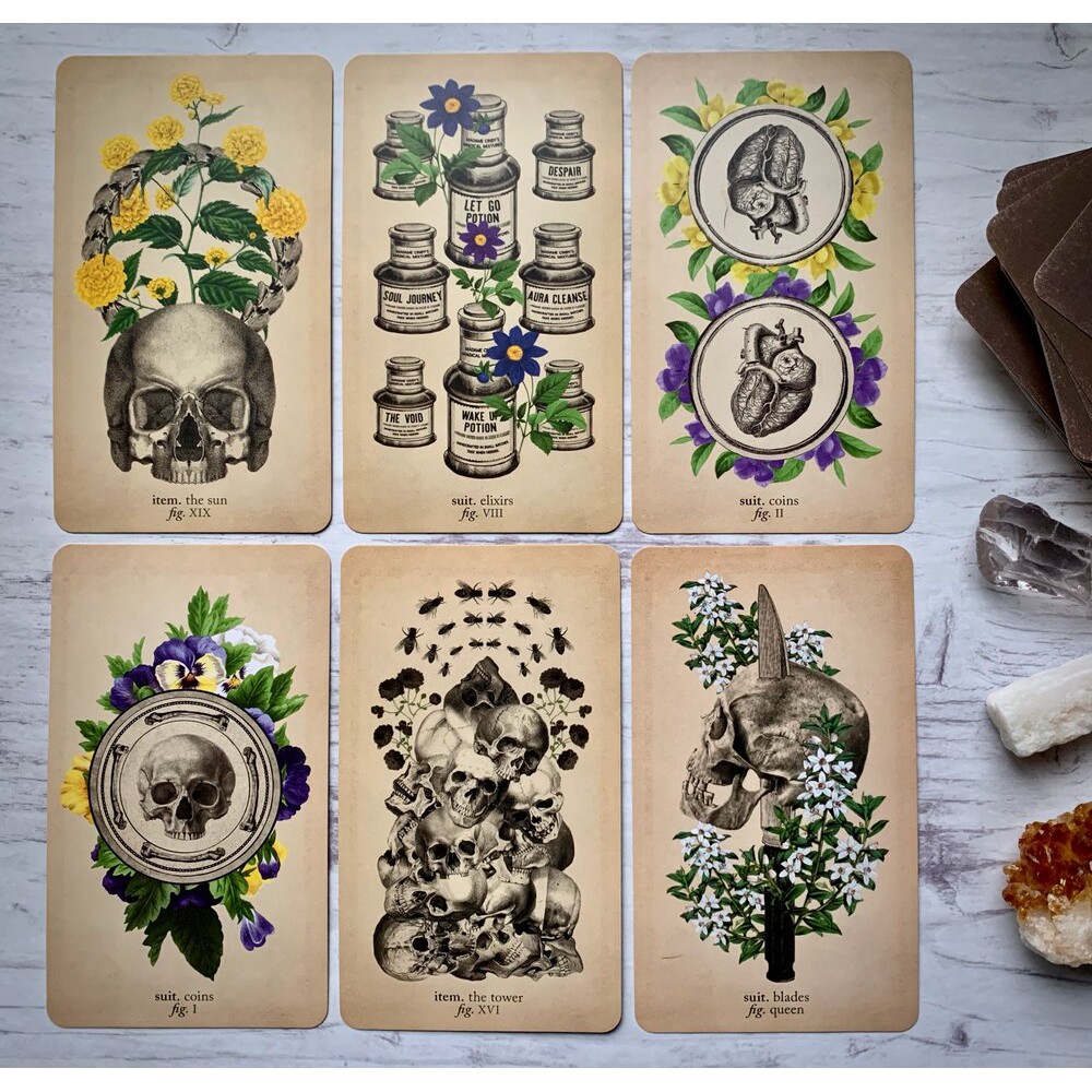 Bộ bài The Antique Anatomy Tarot T9