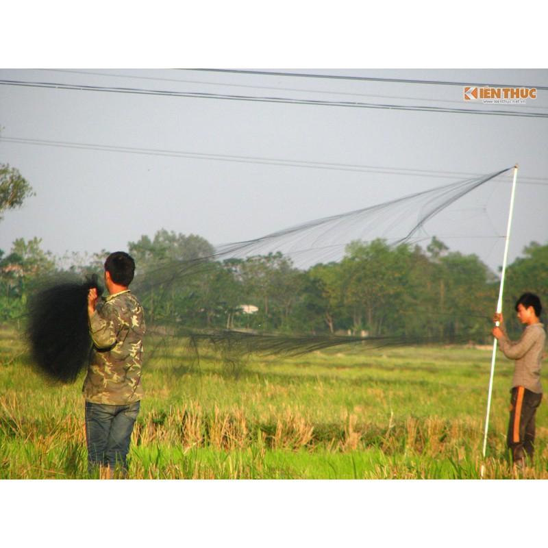 ( khuyến mại ) Lưới Bẫy Chim Sẻ, Chim Khuyên Thái Lan, Cao 5m, Mắt lưới 3p, dài 10m-50m ( đại hạ giá )