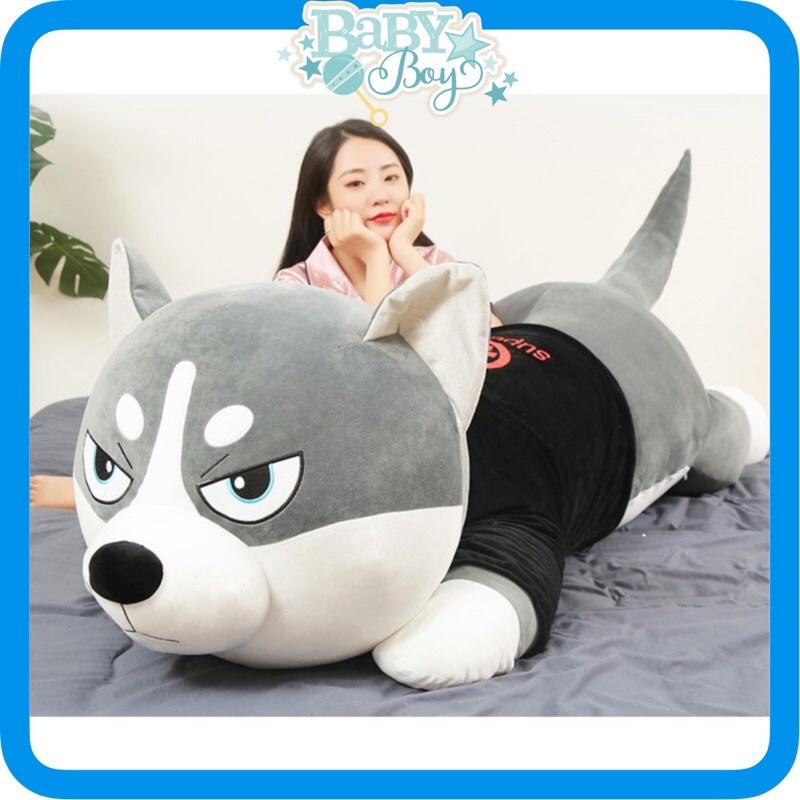 Gấu bông Chó Husky Siêu To Khổng Lồ - gối ôm chó ngáo size 1m1 - 1m5 - hình thât - video