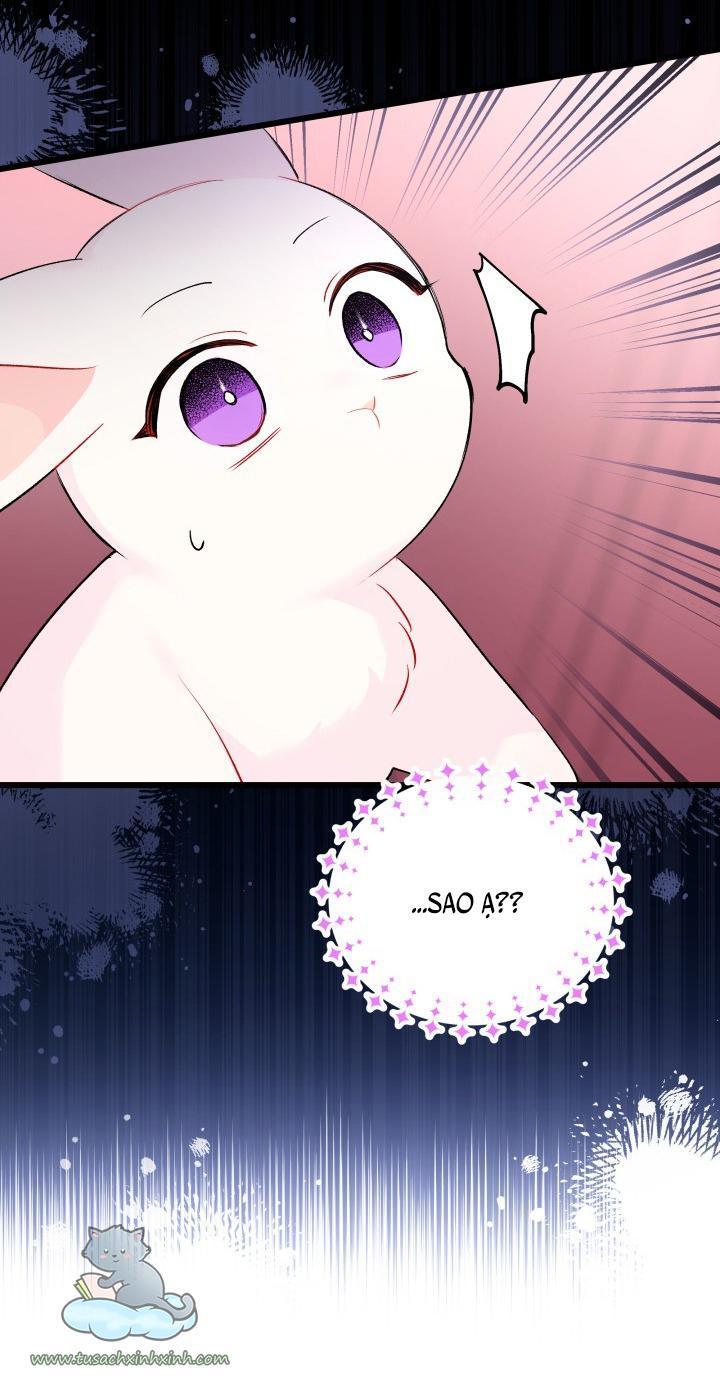 quan hệ cộng sinh giữa báo đen và thỏ trắng chapter 48 52