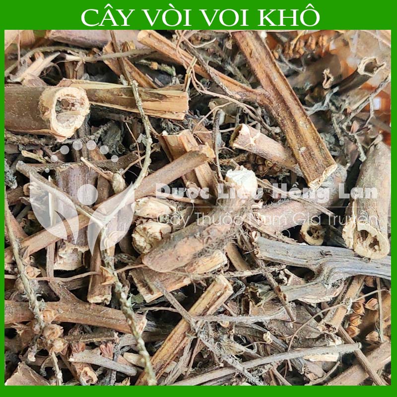 Cây vòi voi khô sạch đóng gói 500gram