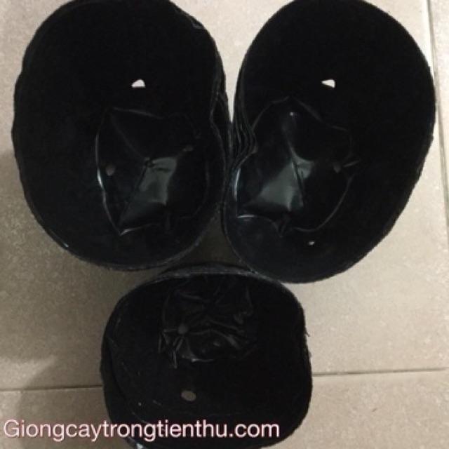 TÚI BẦU TRỒNG CÂY