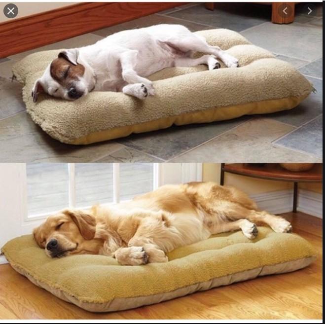 Đệm nằm ngủ cho chó mèo pet size đại 1m x1.2mét, nệm siêu êm khóa kéo giặt