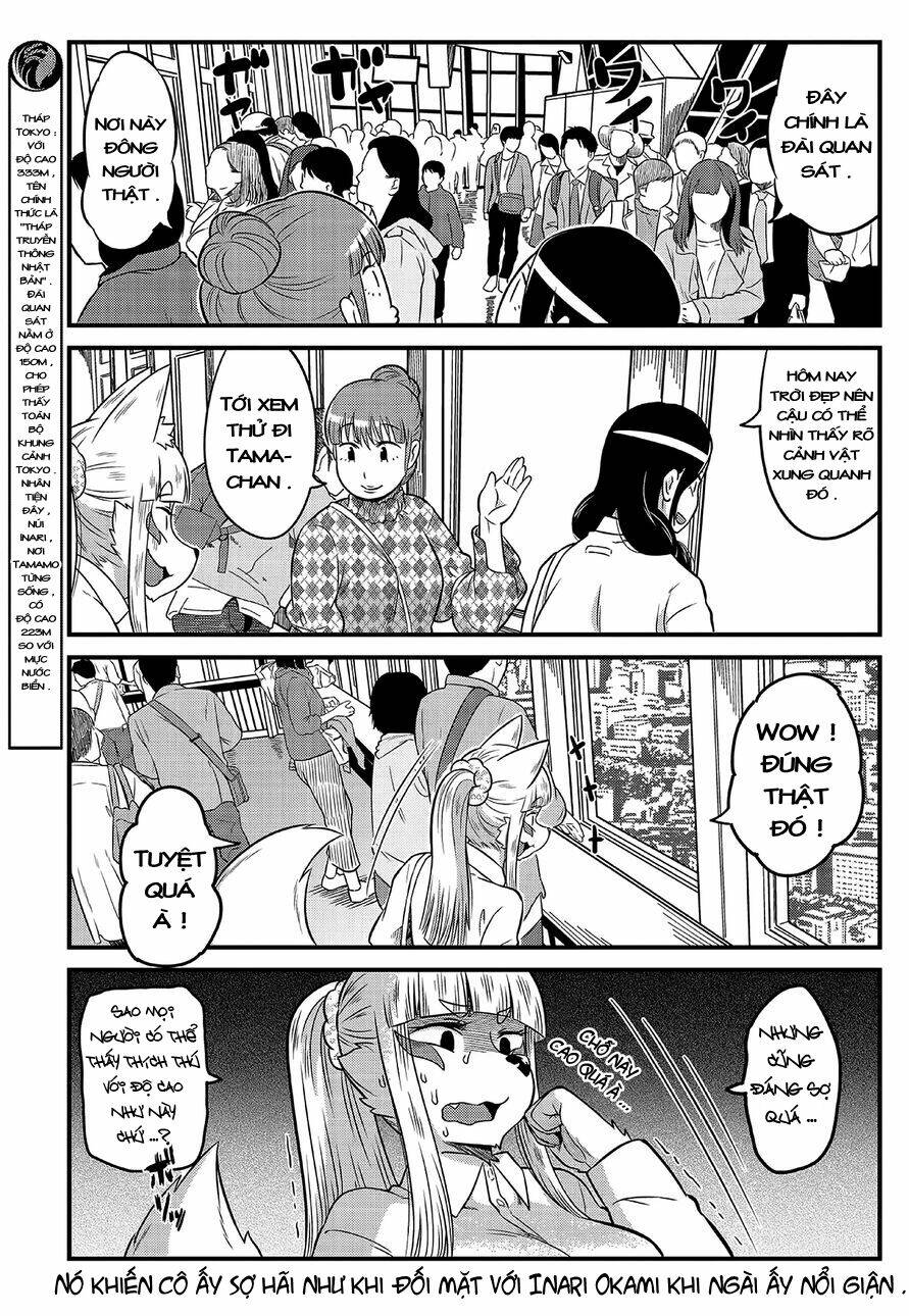 high school inari tamamo-chan ! chapter 9 4