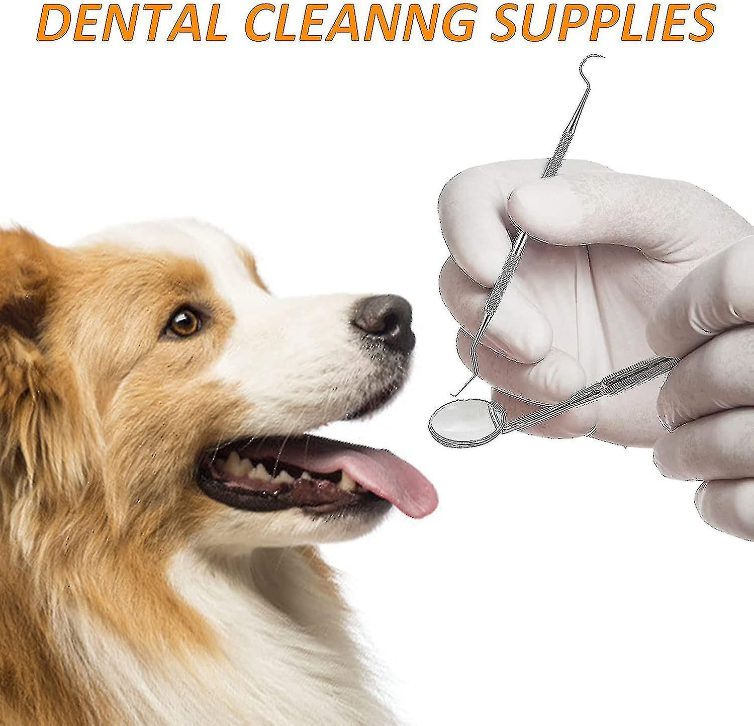 Bộ làm sạch răng cho chó, bộ chăm sóc răng bằng thép không gỉ, dụng cụ làm sạch răng thú cưng