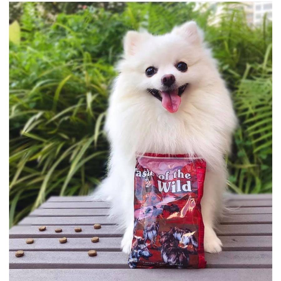 Thức Ăn Cho Chó Poodle Taste Of The Wild Bao 500g - Southwest Canyon Thịt Heo Rừng, Trái Cây Rau Củ Quả