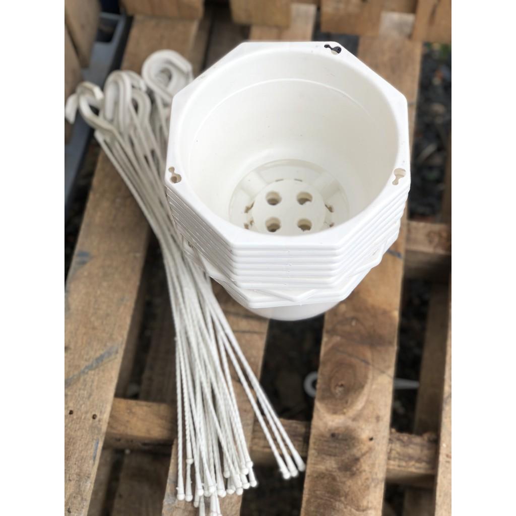 Bộ 10 chậu treo trồng cây kích thước 20 x 15 cm