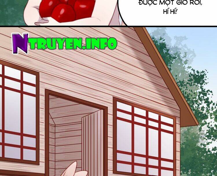 lượm được 1 tiểu hồ ly chapter 61 24