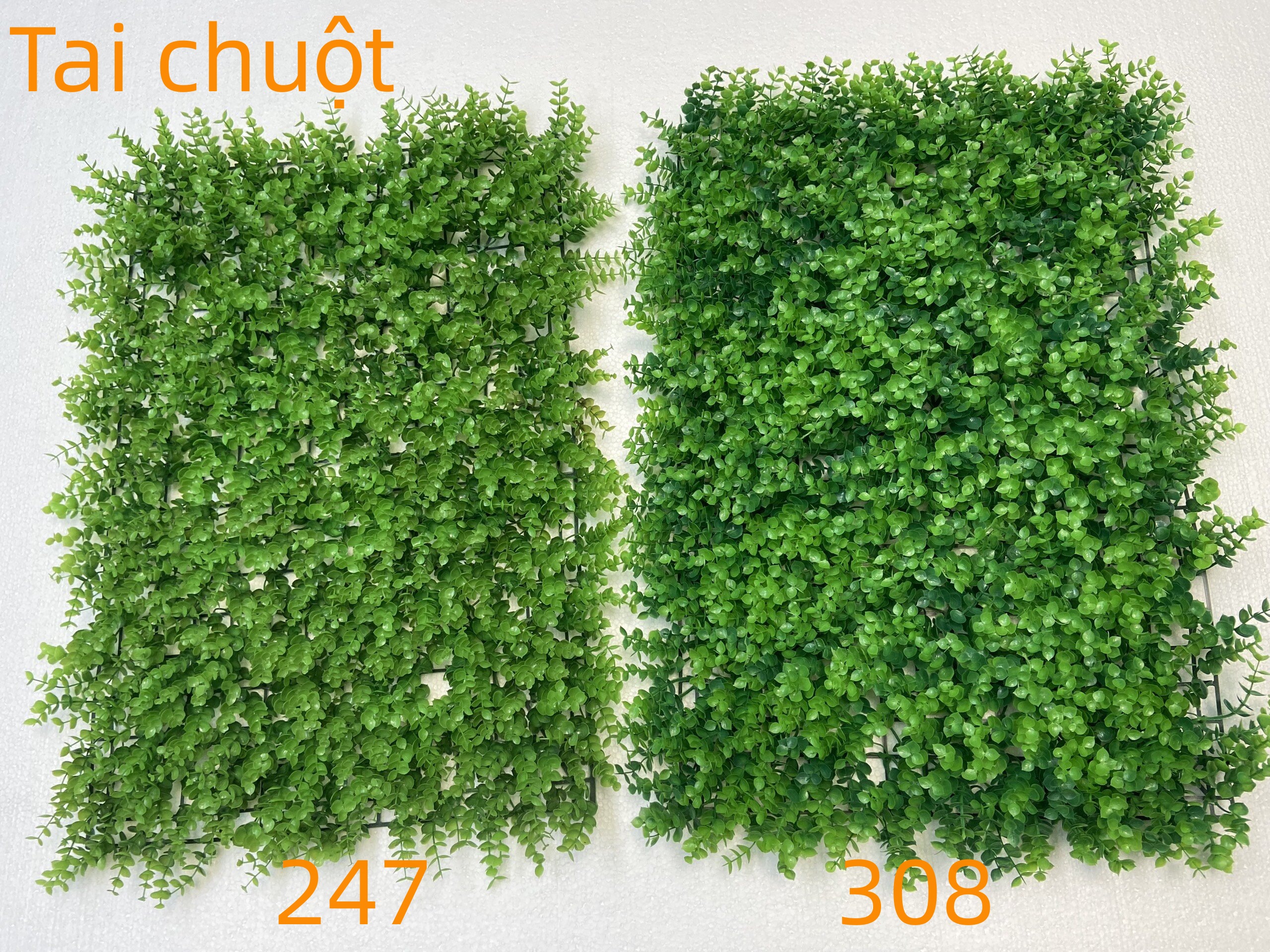 Thảm cỏ tai chuột 247, tai chuột 308 - 40 x 60cm - Tấm cỏ nhựa, vỉ cỏ nhựa làm tường cây giả