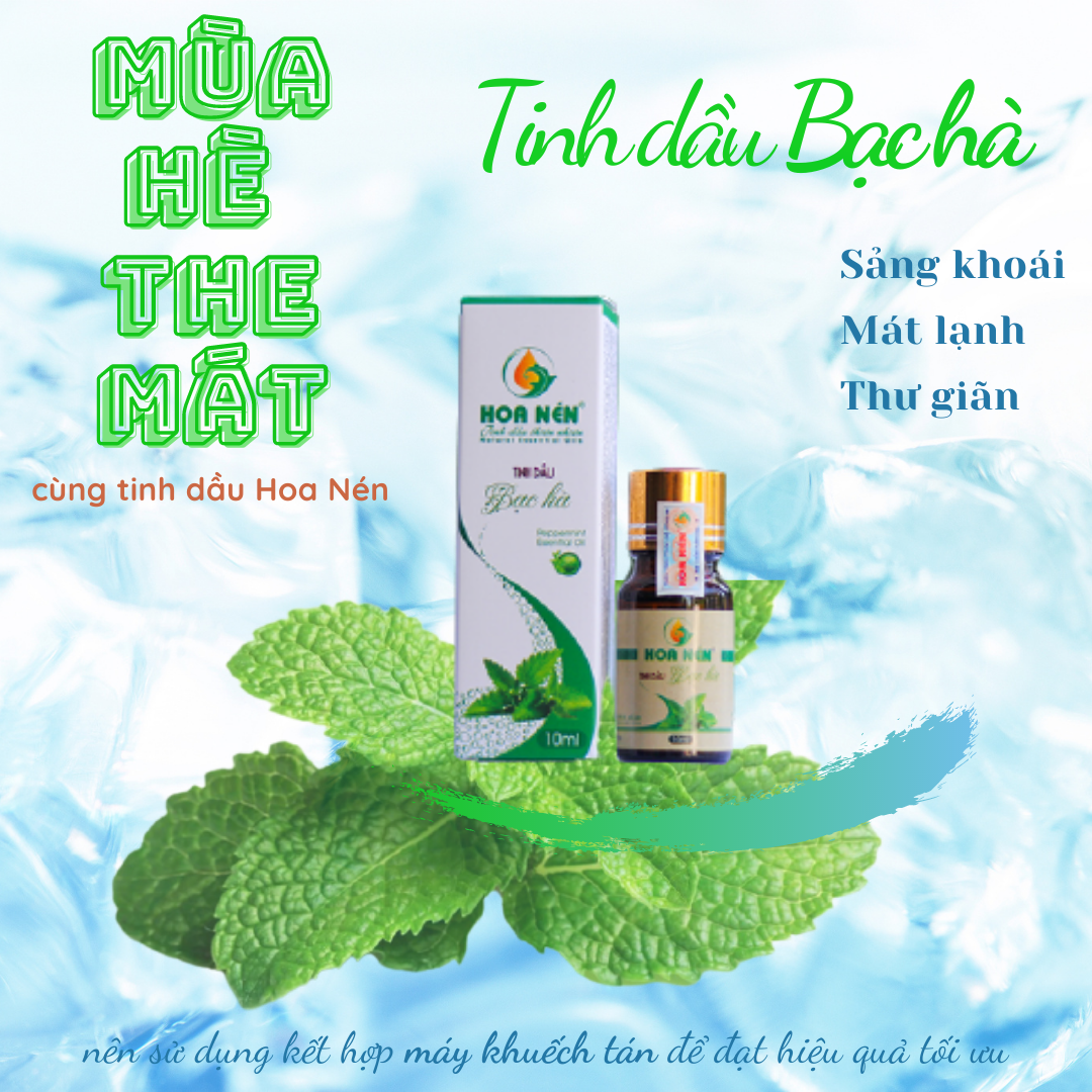 Tinh dầu Bạc Hà nguyên chất 100ml - Hoa Nén - Vegan - The mát, thư giãn, đuổi chuột