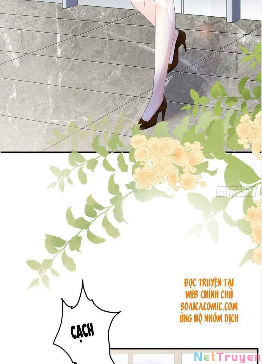 đại tiểu thư có ý đồ gì xấu đâu chapter 100 16