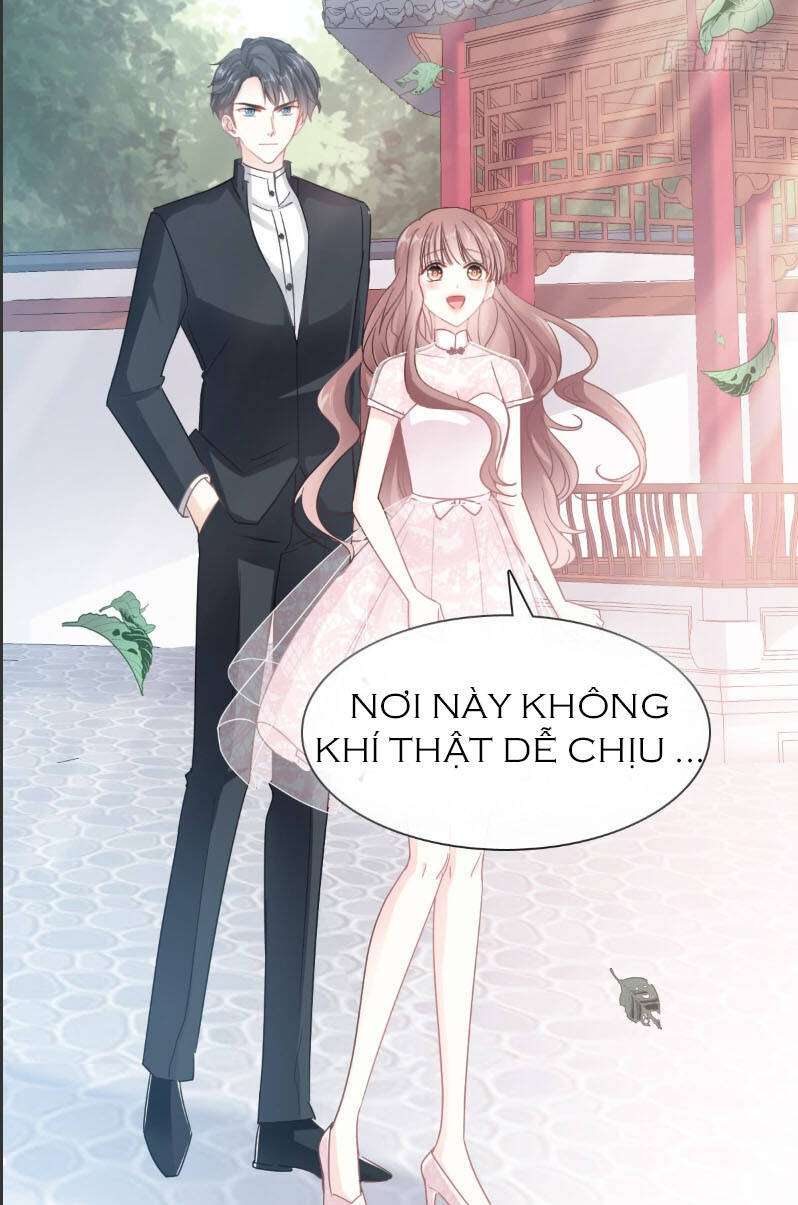 bá đạo tổng tài nhẹ nhàng yêu chapter 40.2 6