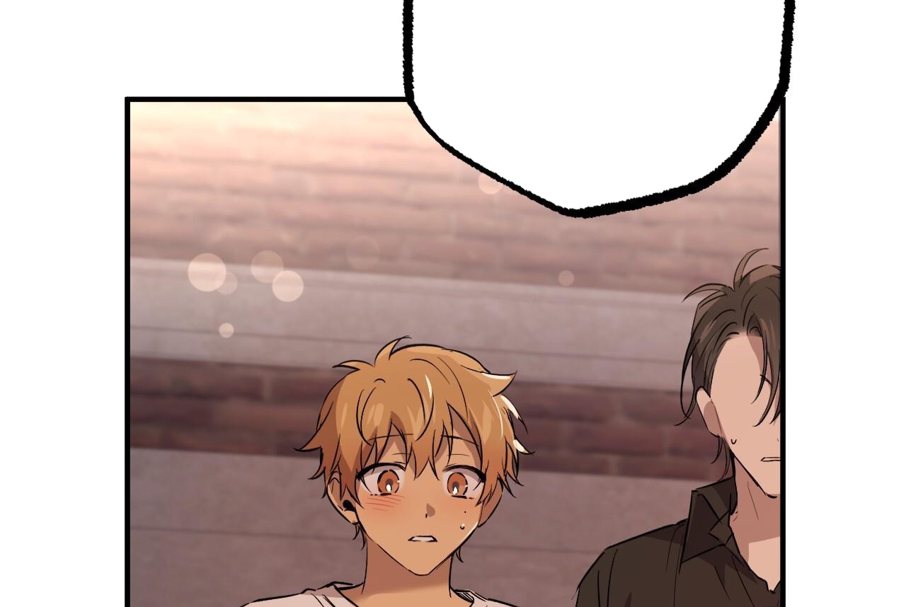 những chú thỏ của hapypy chapter 57 25