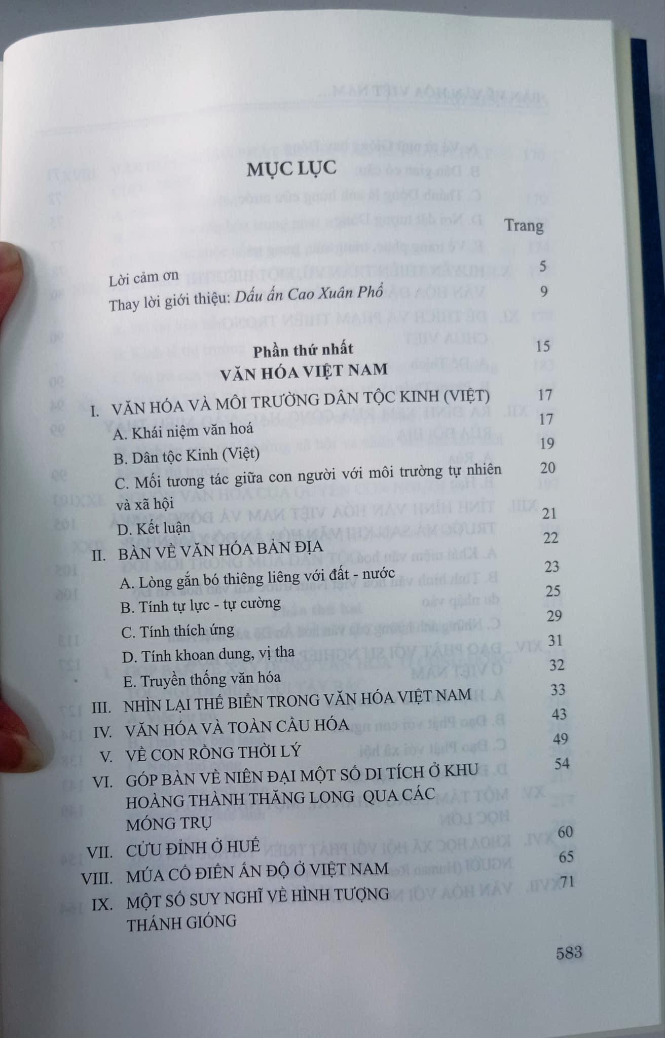 BÀN VỀ VĂN HOÁ VIỆT NAM VÀ ĐÔNG NAM Á - IN 300C