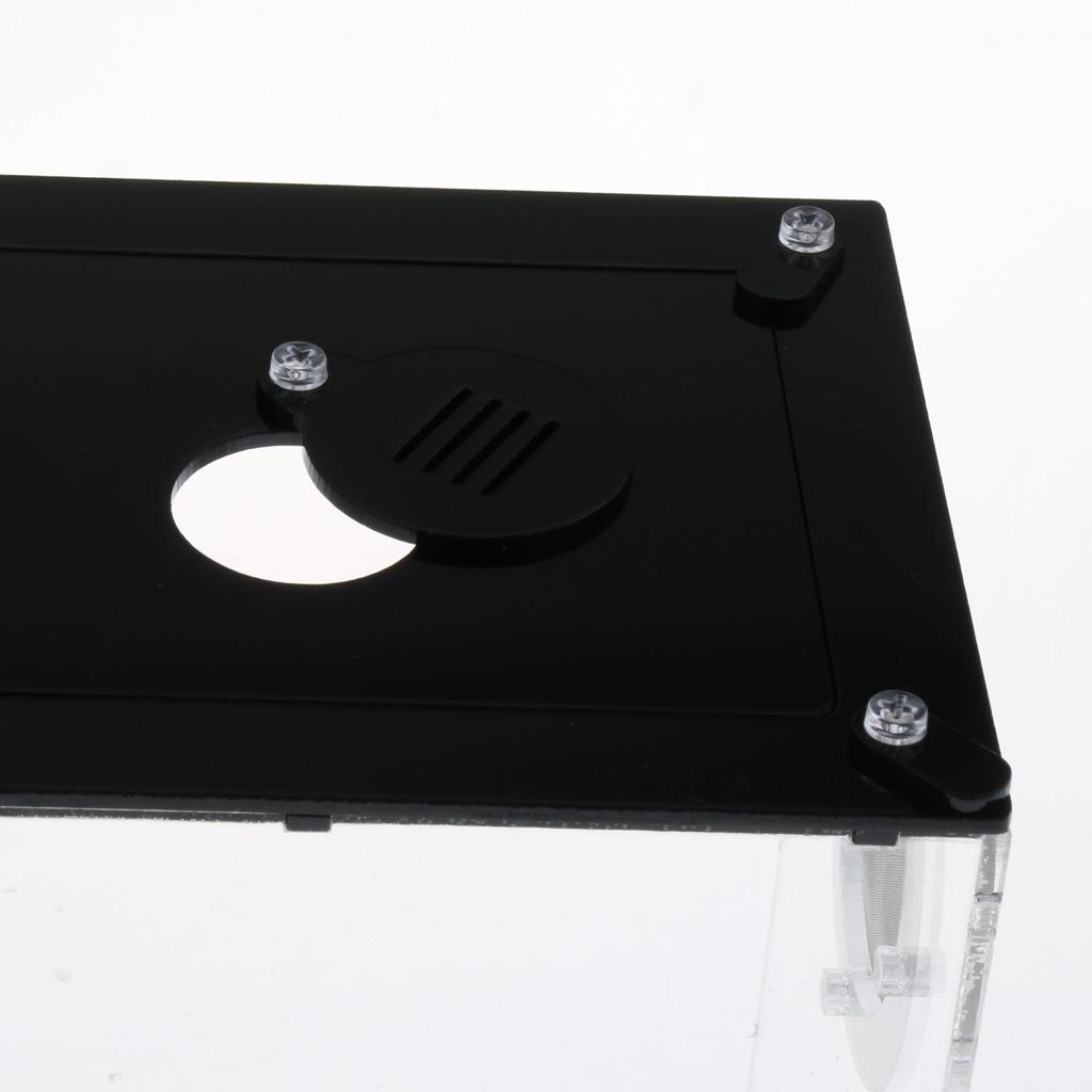 Mini Reptile Acrylic Terrarium Full View Visually Reptile Habitat Box