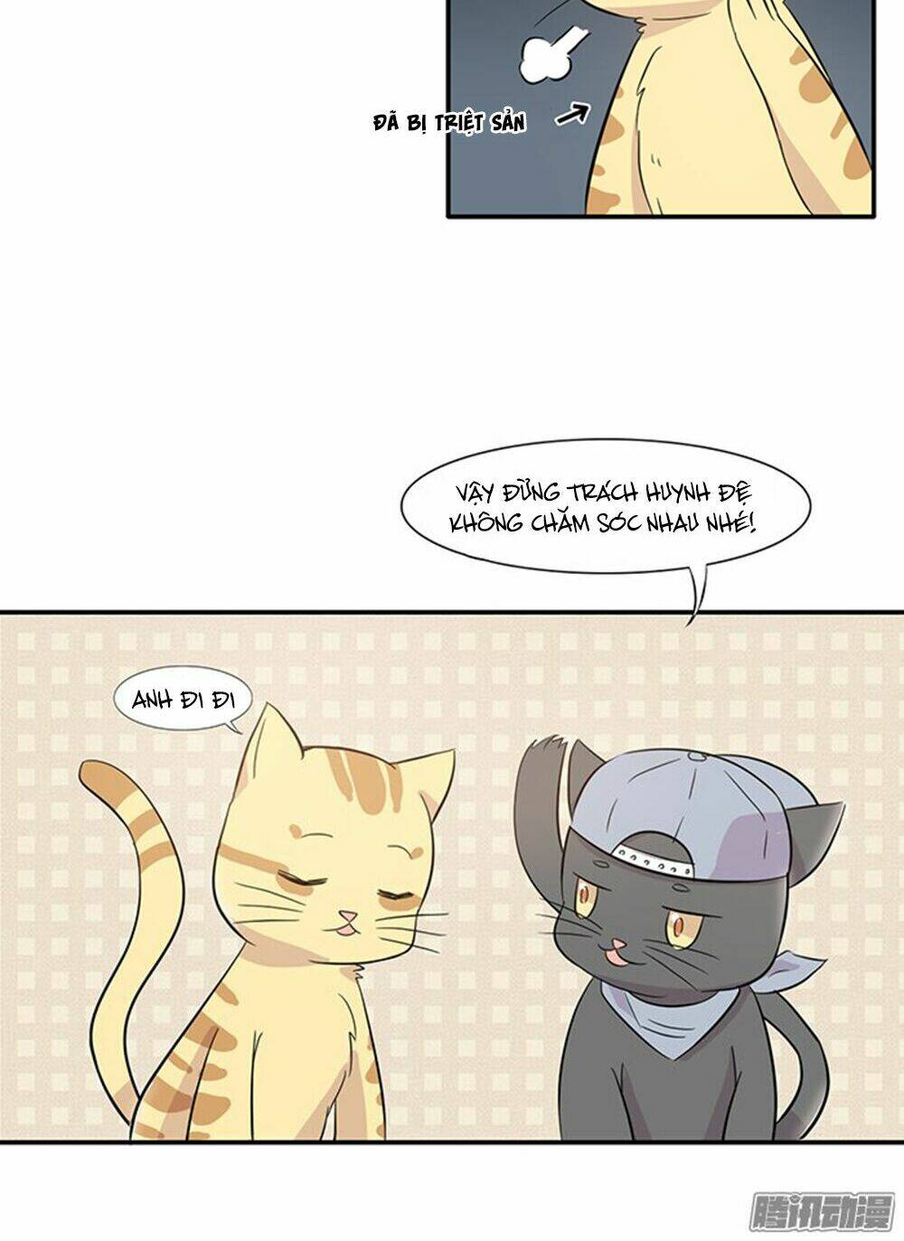 hai chú mèo totem chapter 14 12