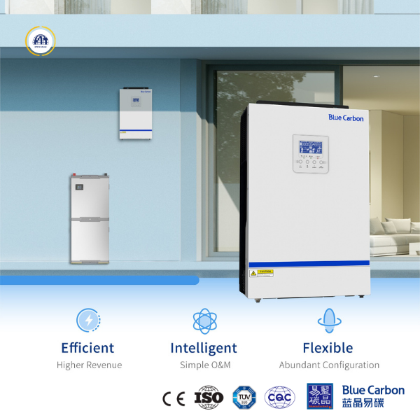 Inverter độc lập 5kw Chính hãng Blue Carbon DT5.5KSG- INV48