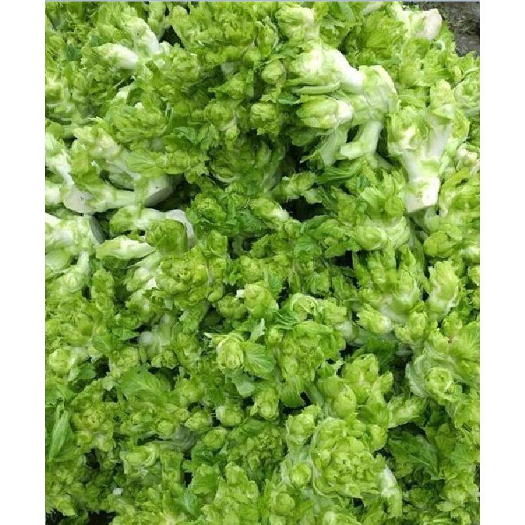 Hạt giống rau cải mầm đá F1 - 0,2gr/gói