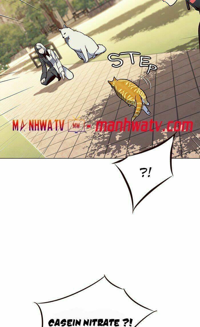 biến thân thành mèo chapter 80 79