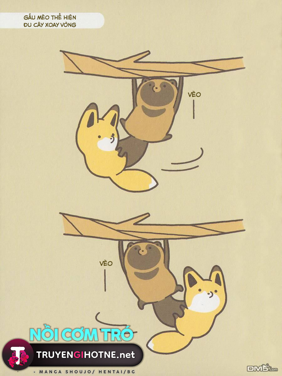 cáo và gấu mèo chapter 3 5