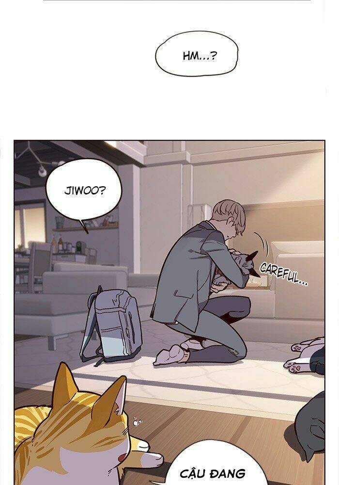 biến thân thành mèo chapter 11 78