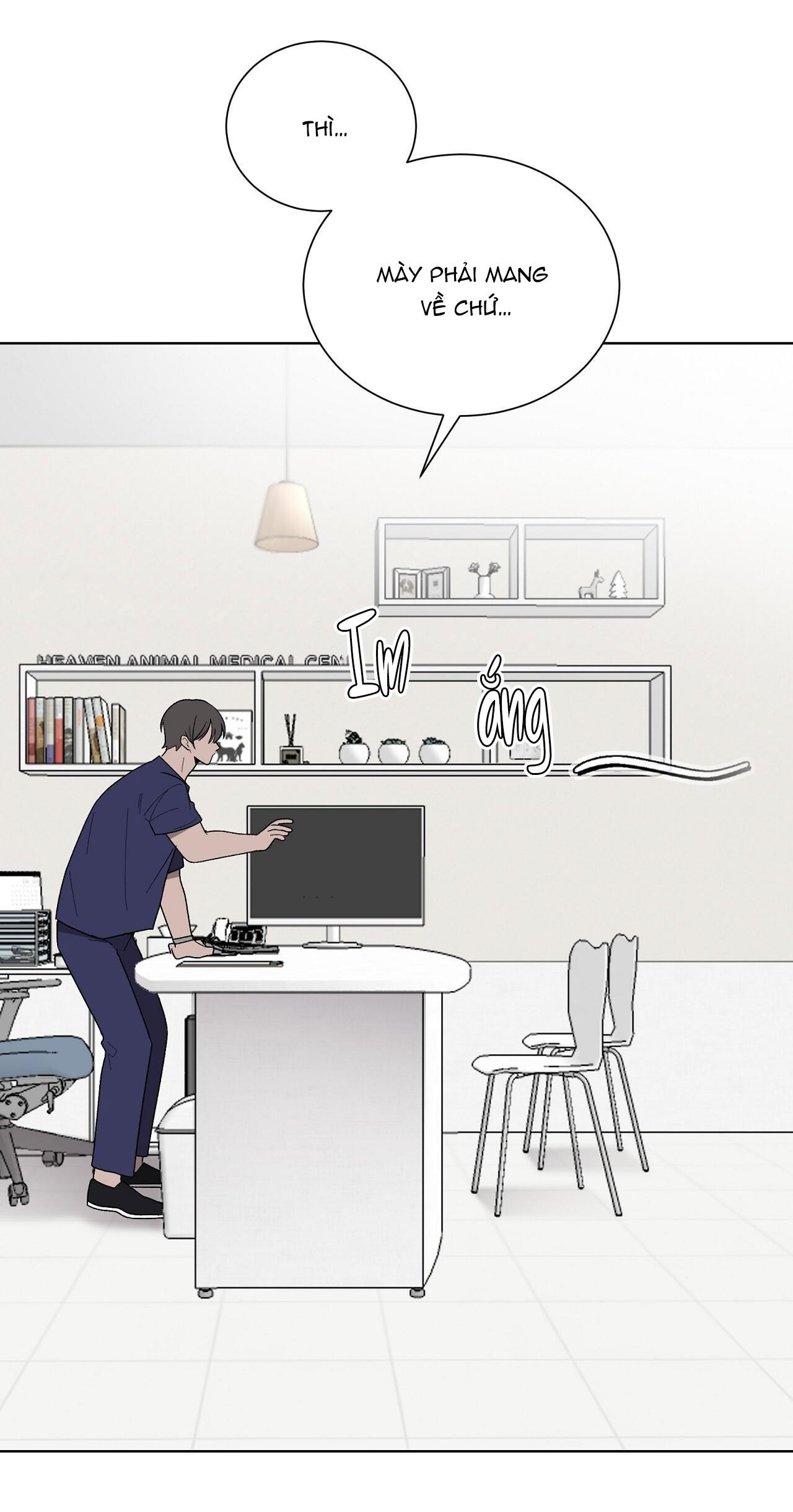 khi chim thước đến chapter 13 42