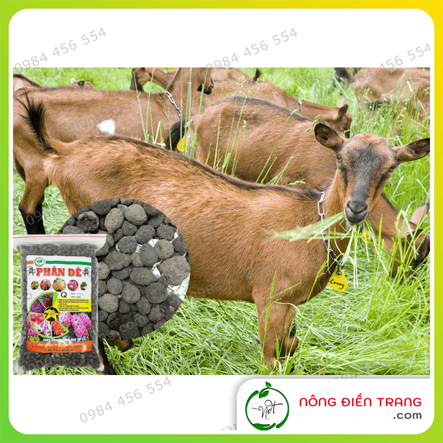 Phân Dê Hải An Khang đã xử lý - Túi 1kg - Phân Hữu Cơ Chuyên dùng cho lan, cây cảnh, tốt cho mọi cây trồng VTNN Nông Điền Trang