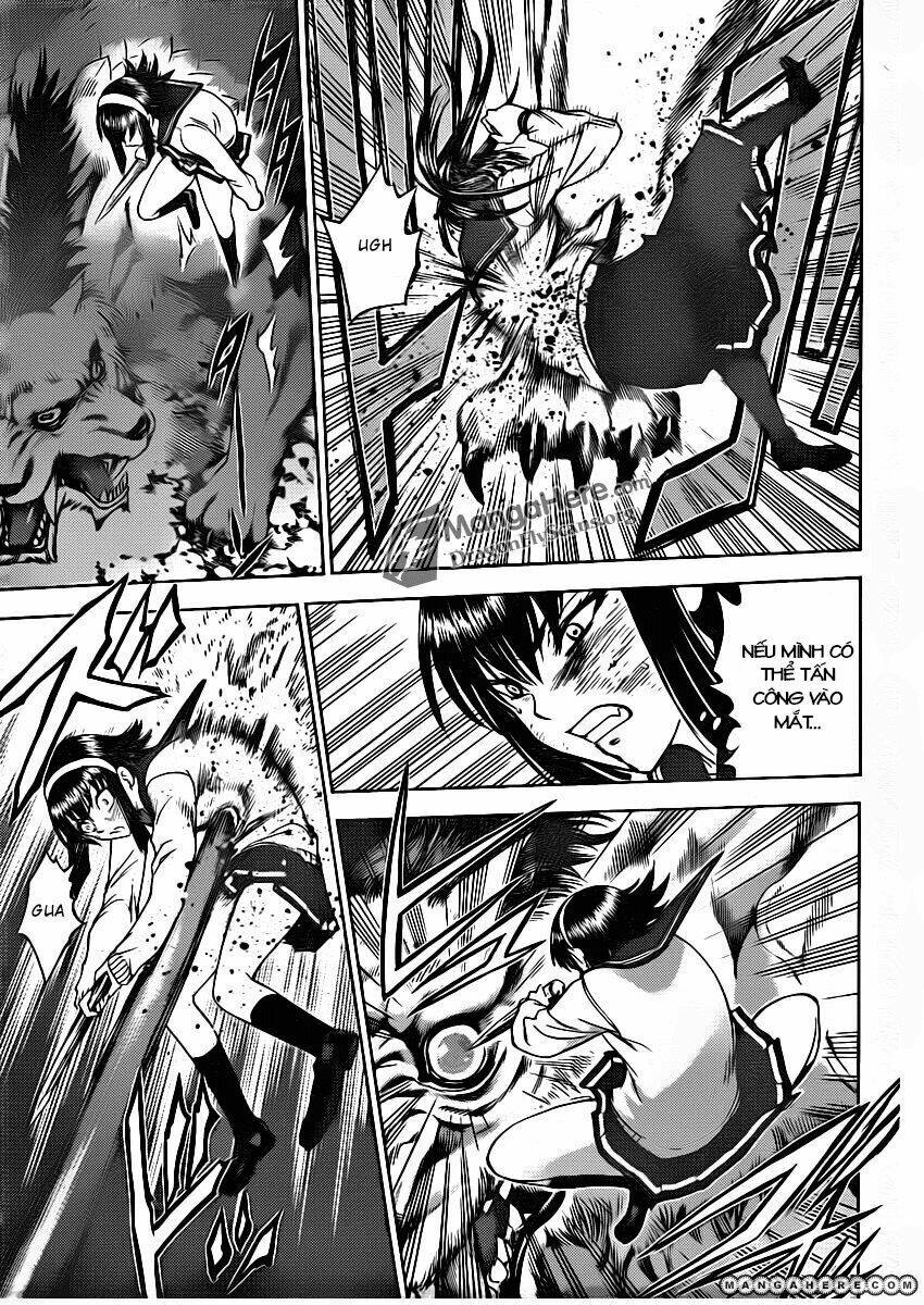 cage of eden chapter 145 6