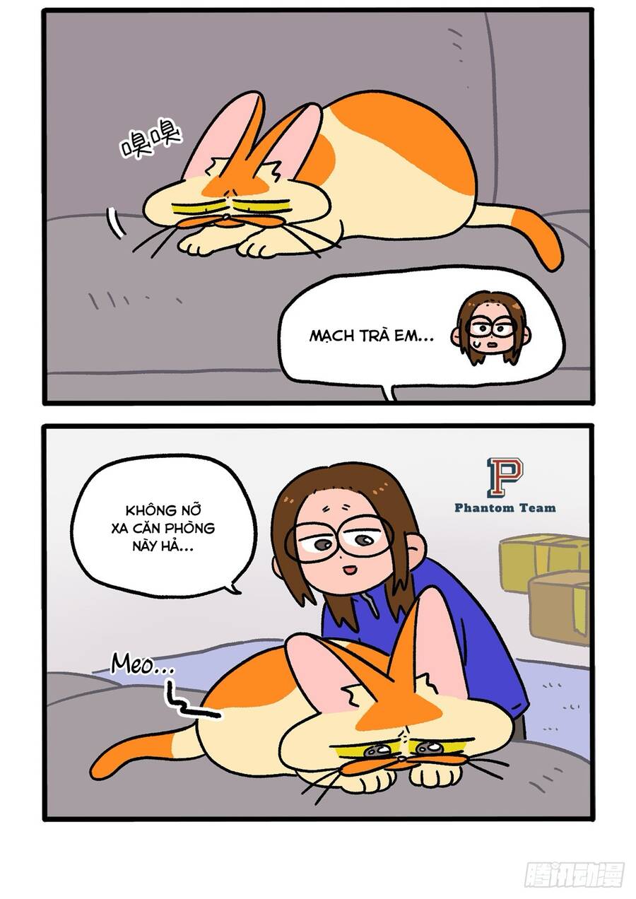 a mãn và mạch trà chapter 138.1 2