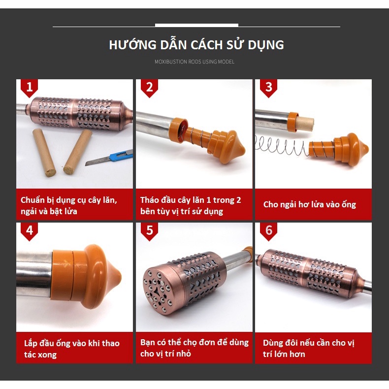 Cây Lăn Ngải cứu Đồng Đôi ,giúp đả thông kinh lạc, cứu ngải, lăn cột sống( Tặng 10 viên ngải đoạn)