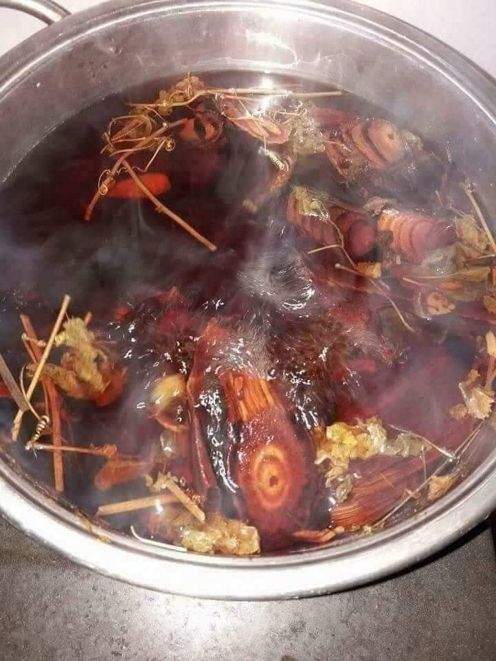 Cây cỏ máu
