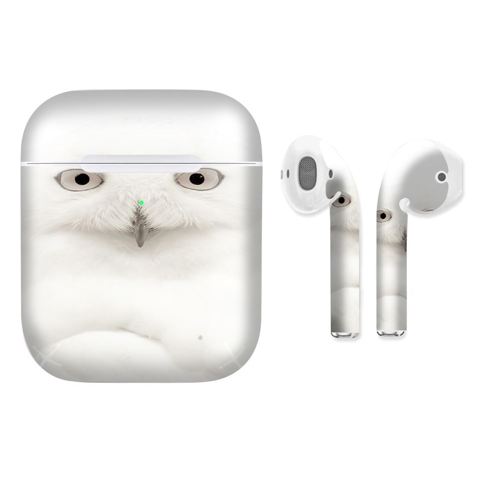 Miếng dán skin chống bẩn cho tai nghe AirPods in hình con vật - dvz018 (bản không dây 1 và 2)