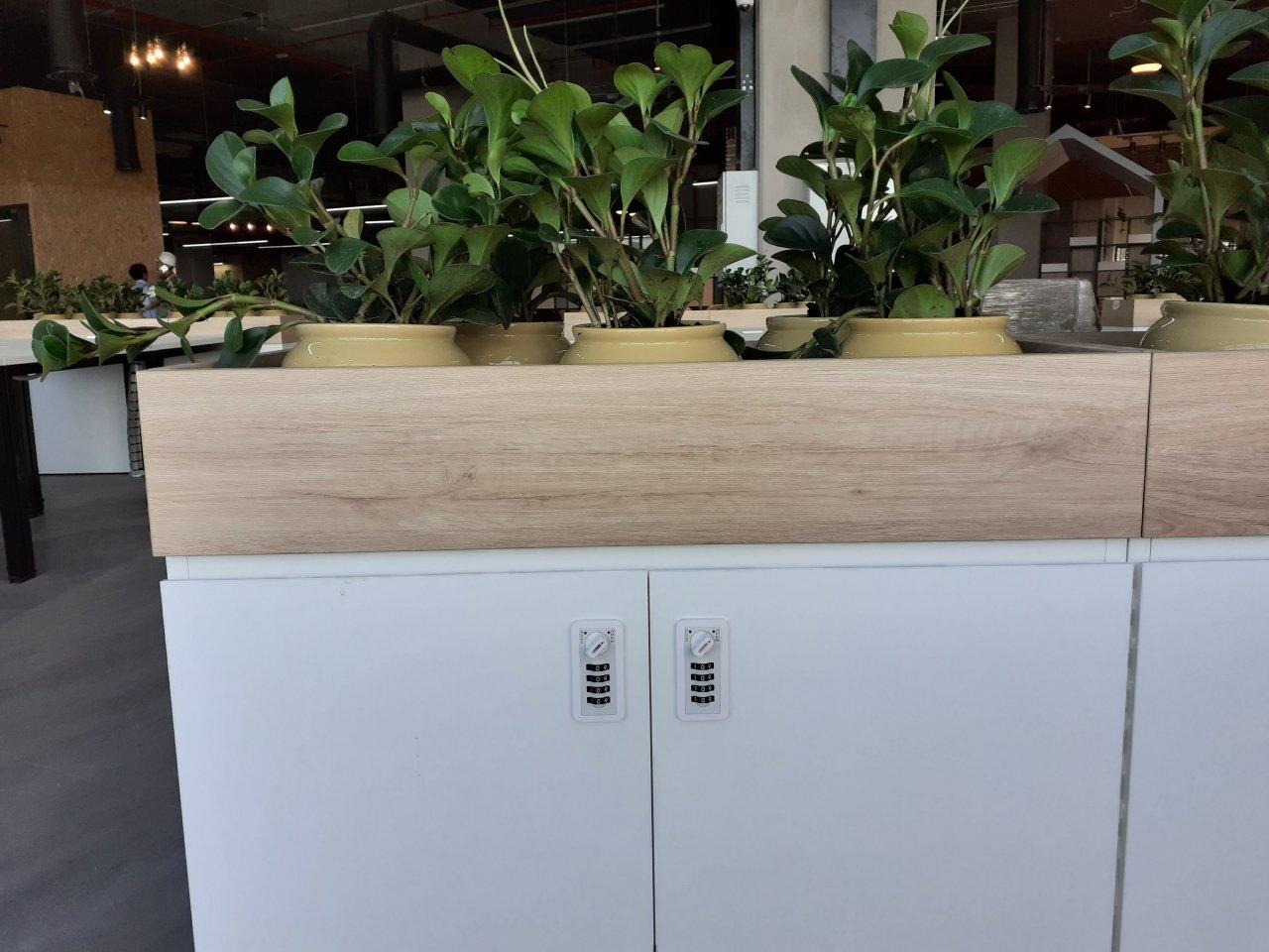Khoá số DL12 công nghệ Singapore dành cho Tủ Locker gỗ