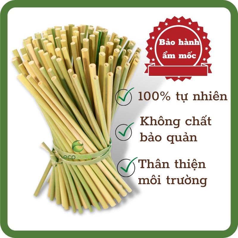 Thùng 3000 ống hút cỏ bàng khô Ecozone cao cấp tiết kiệm - Grass Straws - Hàng xuất khẩu