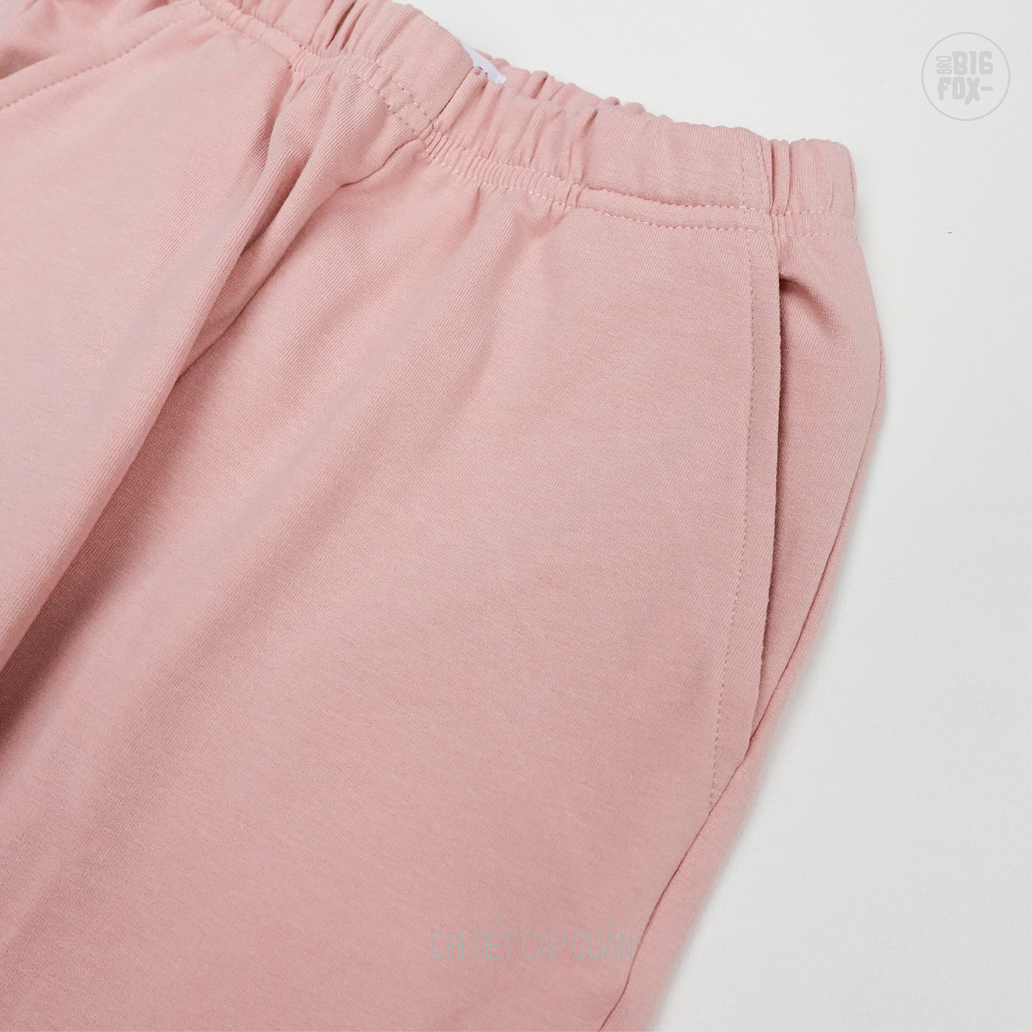 Bộ đồ thu đông cho bé gái Bigfox Miss meow size đại áo nỉ dài tay quần jogger cỡ trẻ em 3-11 tuổi