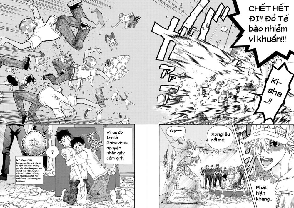 hataraku saibou! chapter 11 24