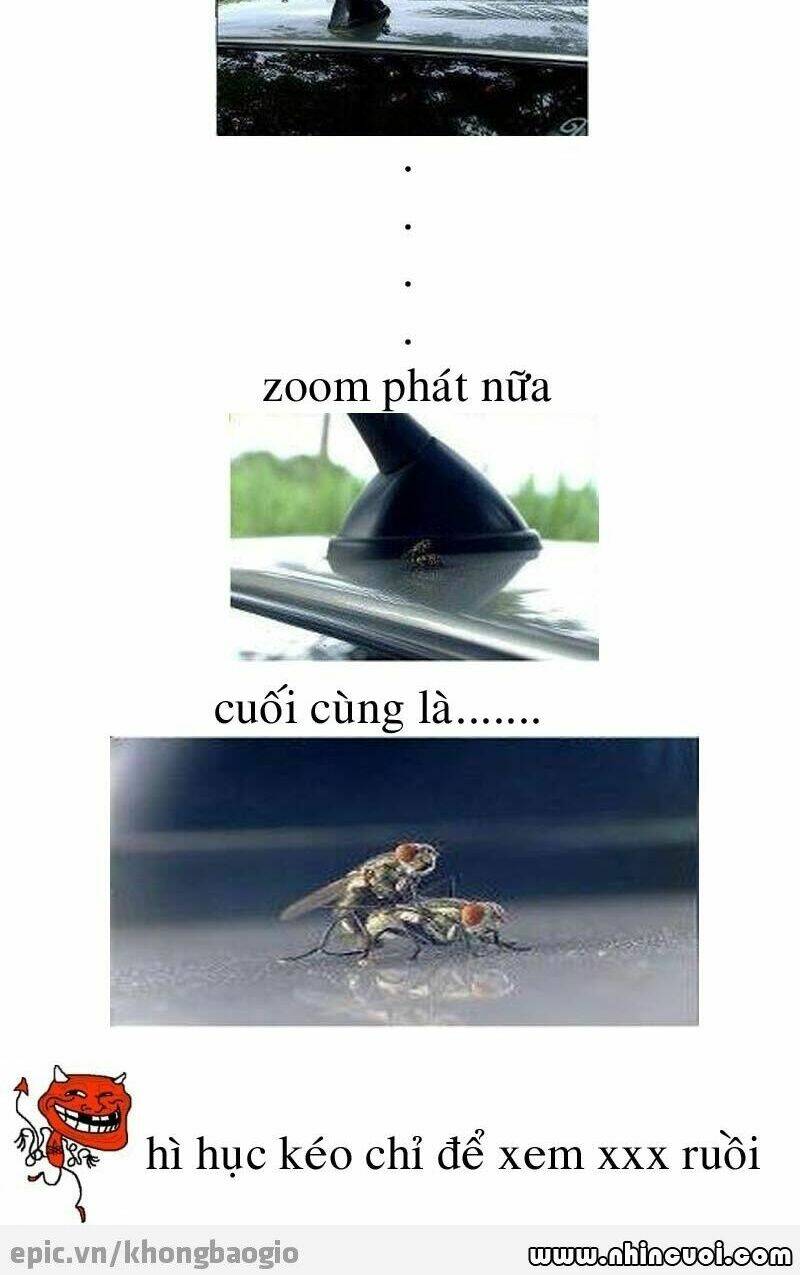 hình ảnh hài hước new chapter 8 22