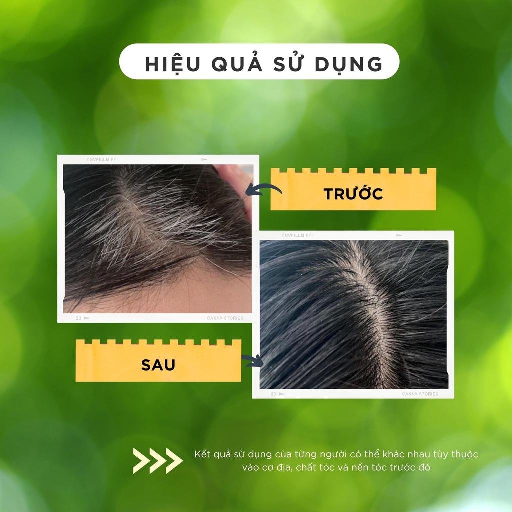 Dầu gội phủ tóc bạc giúp tóc đen tự nhiên, kích mọc tóc nhanh, giảm rụng tóc VICCHAMIS gói lẻ