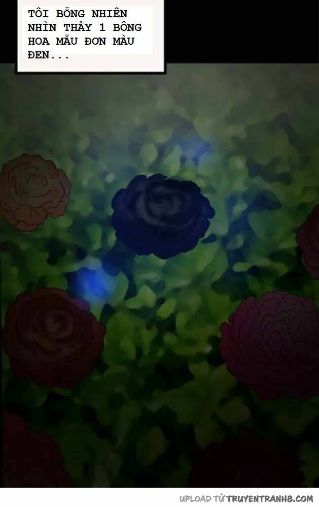 hoa mẫu đơn đen chapter 3 11
