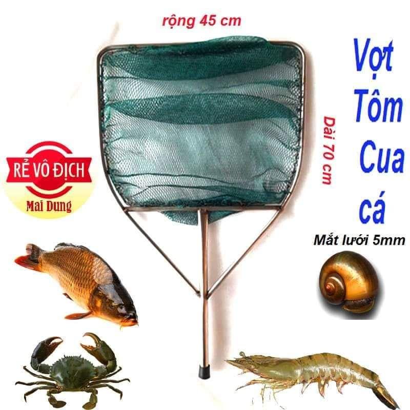 Lồng , Bể bạt nuôi ếch
