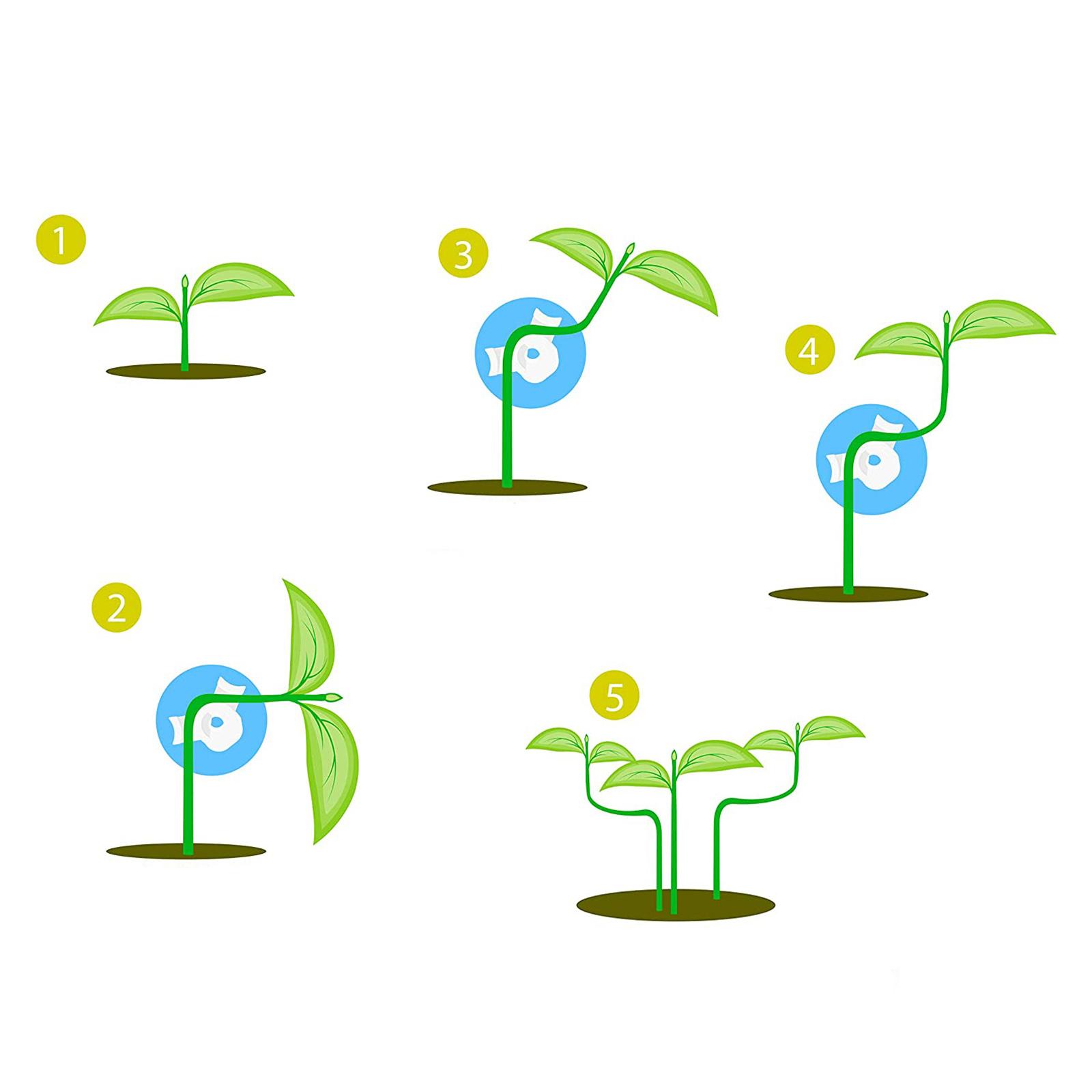 Plant Bender Elbows Tomato Clips Stem Trainer Tomato Branches Clamps for Low Stress Training Control Plants Growth Increase More Light and Air Flow
