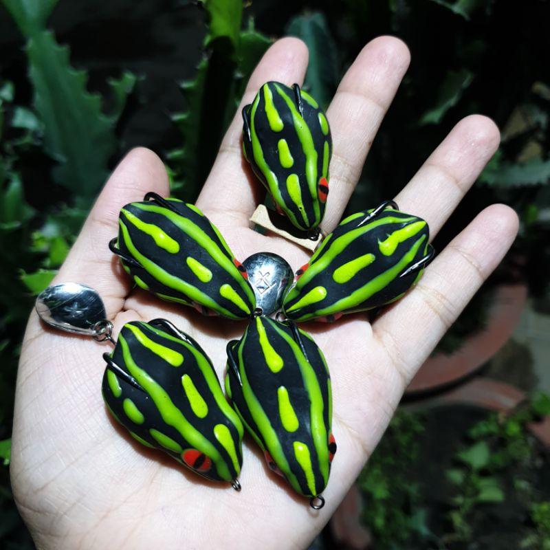 Nhái hơi Thái Lan Poison Frog / Chìm và nổi