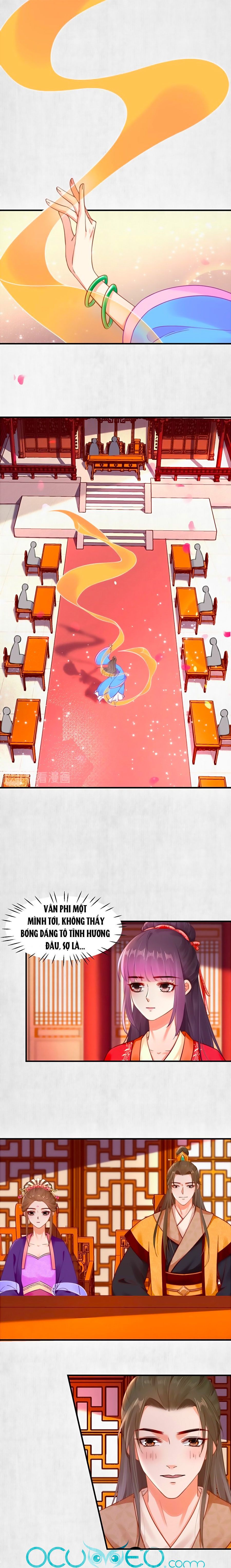 hoạn phi hoàn triều chapter 53 1