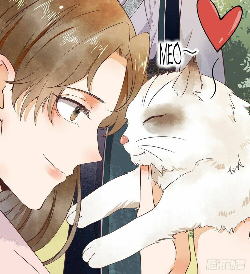 sát thủ vương phi không dễ chọc chapter 5.5 14