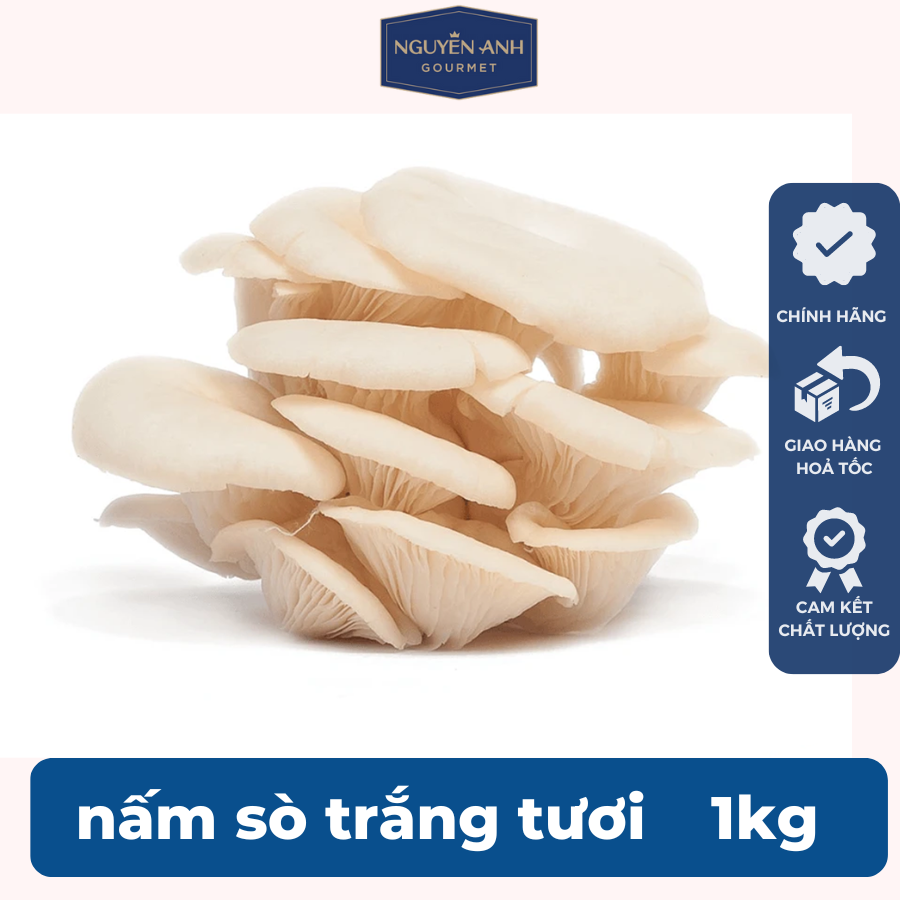 Nấm sò trắng tươi 1kg nông trại Nấm Xanh