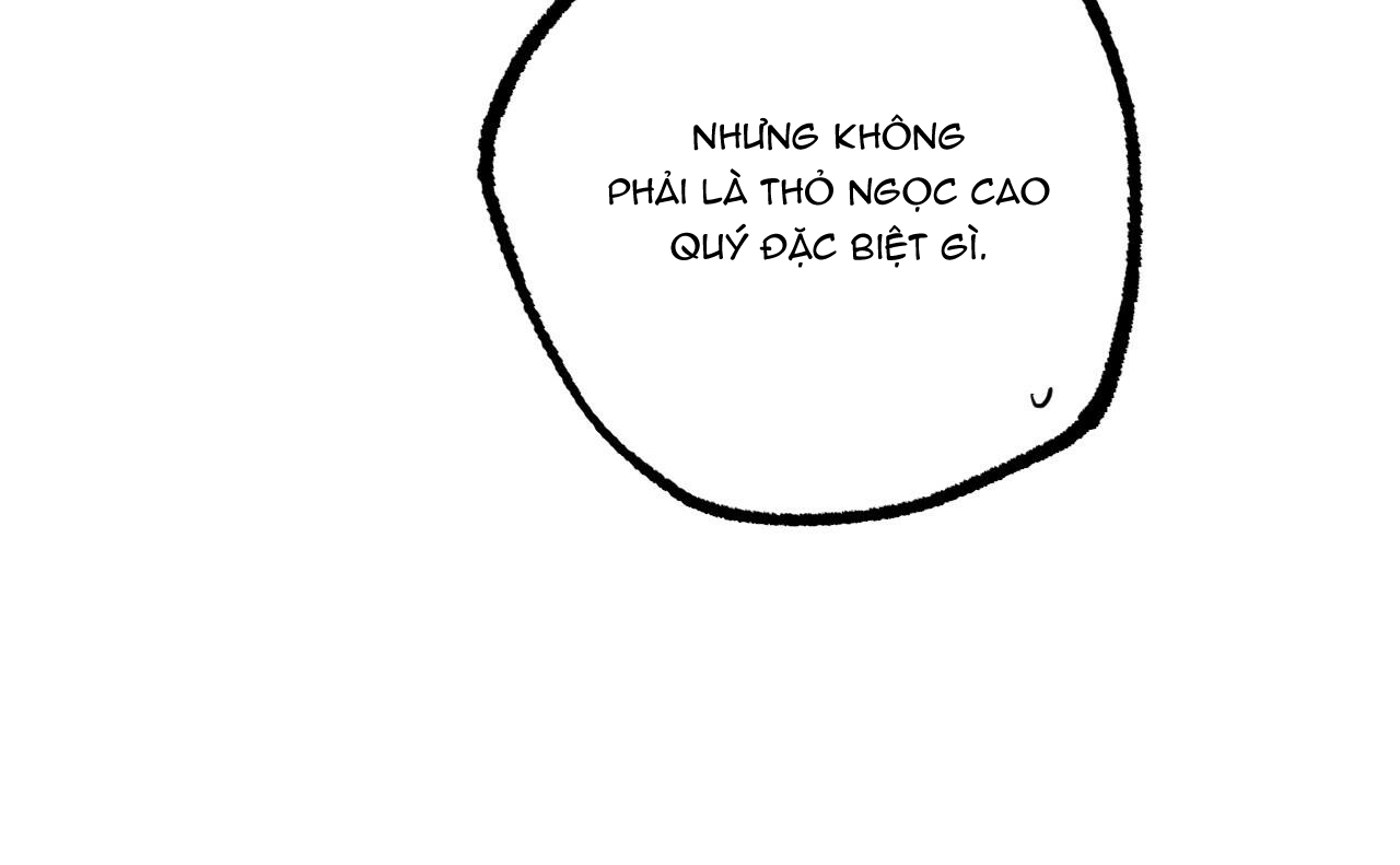 đàn thỏ của habibi chapter 46 194