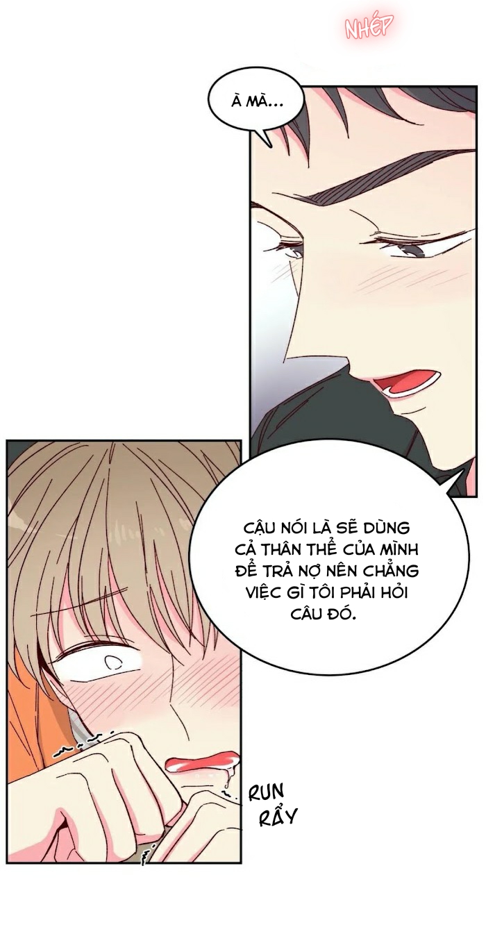 món tráng miệng của sếp tổng chapter 10 20