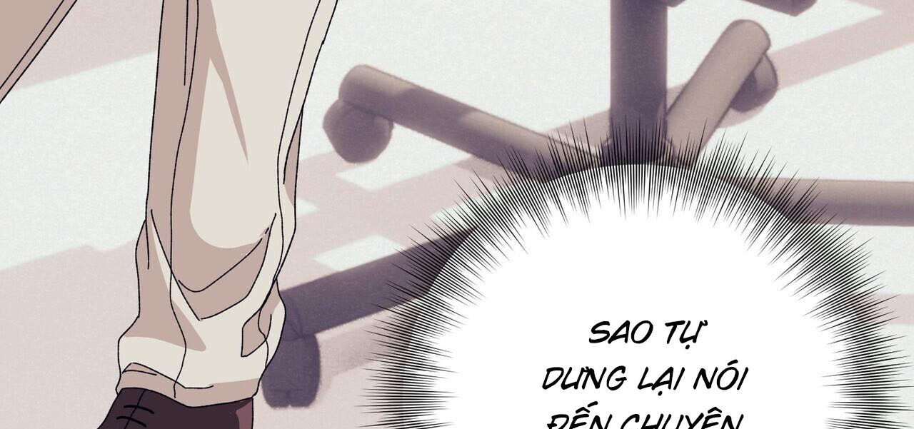 Chàng Dâu Nhà Họ Kang chapter 42