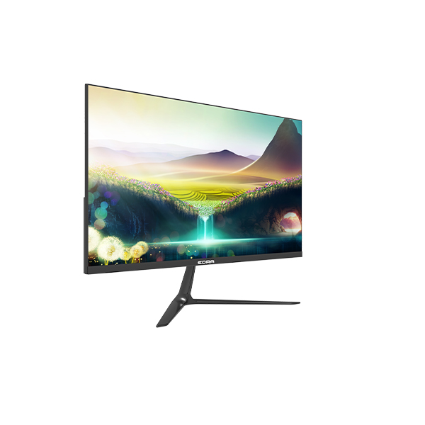 Màn hình E-DRA EGM22F100 21.5 inch ( FHD/IPS/100Hz/5ms ) - Hàng Chính Hãng